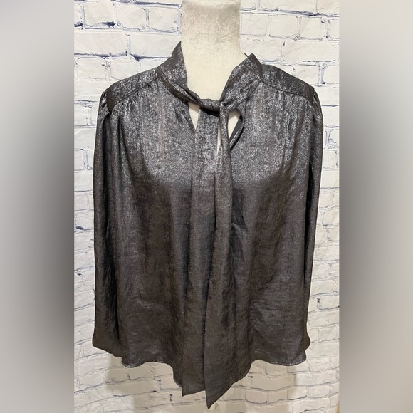 Ann Taylor factory silver long sleeve tie neck blouse Size XL - Picture 1 of 7